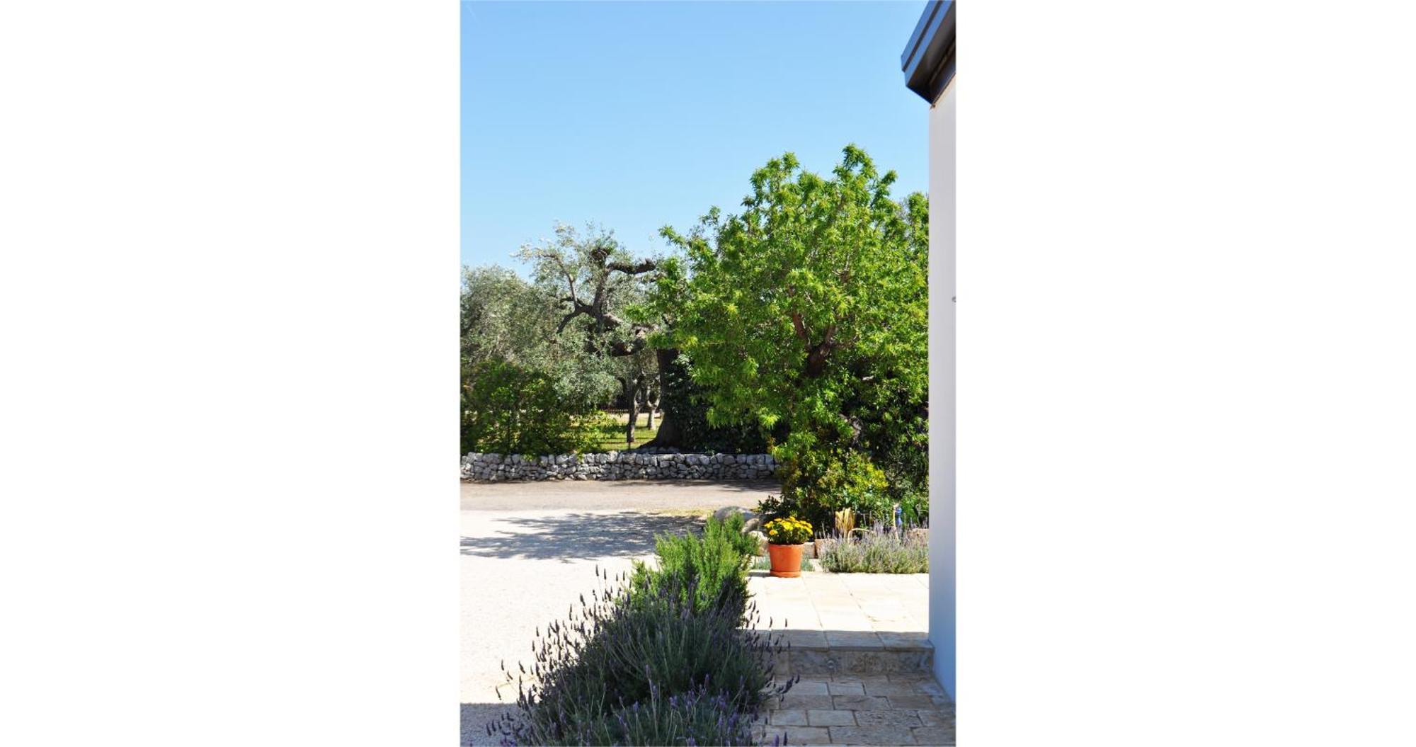 Bed and Breakfast Casale Petrarolo Monopoli Exterior foto