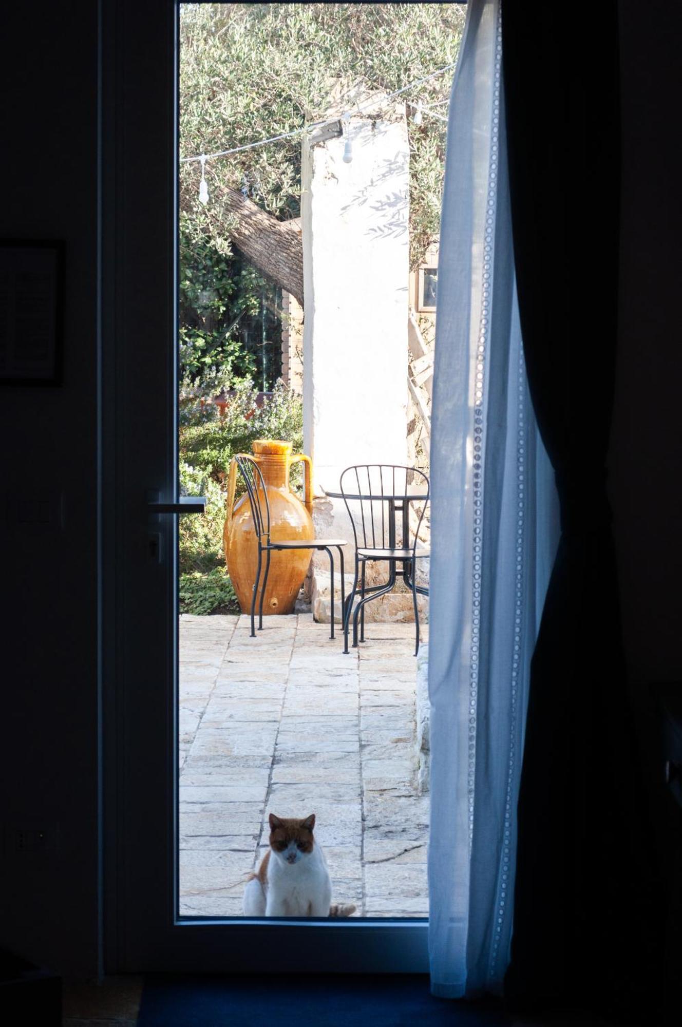 Bed and Breakfast Casale Petrarolo Monopoli Exterior foto